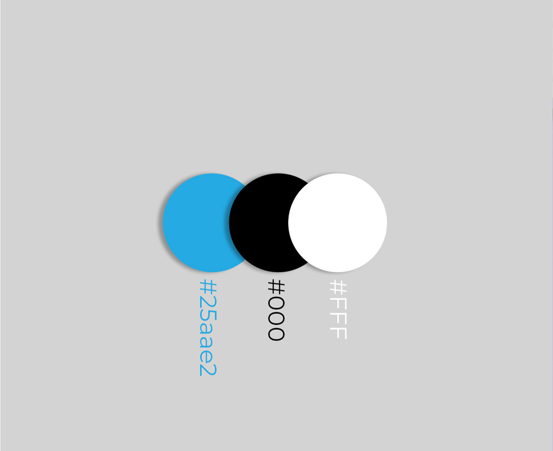 Maani Travel colour reference with sky-blue, black and white swatches.